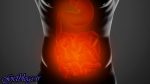 باکتریهای روده کوچک چه نقشی در چاقی دارند؟
