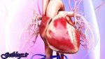 رابطه آلودگی اندک هوا با خطر بزرگ شدن قلب